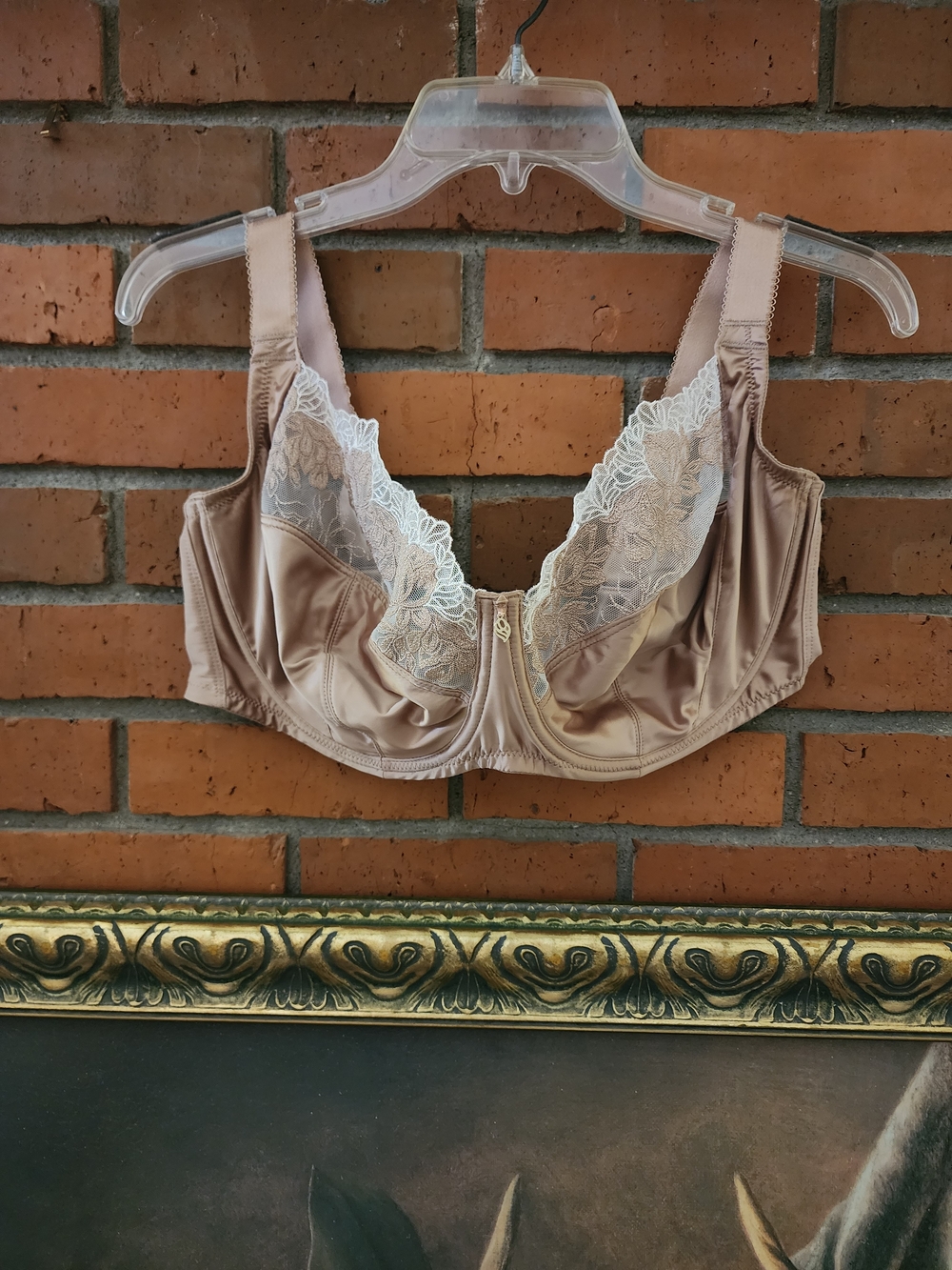 Wacoal Nude Satin Underwire Bra with White Lace Trim 40DDD